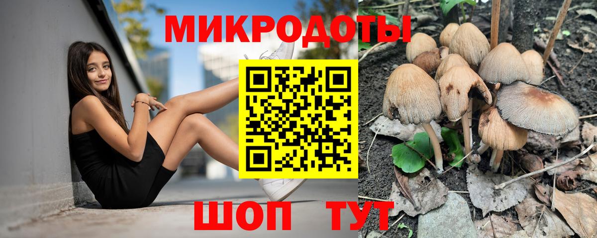 Галлюциногенные грибы GOLDEN TEACHER  Вход с VPN  Светлоград 